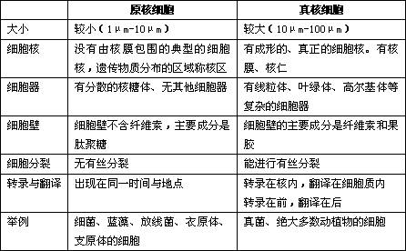 (三),动物细胞结构与植物细胞结构的比较